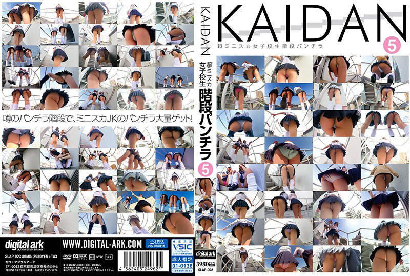 di3-0157【本編フル視聴】 KAIDAN 超ミニスカ女子○生階段パンチラ5