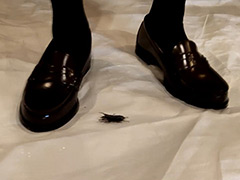 foot-0167【本編フル視聴】 めいちゃんのクワガタCRUSH