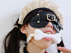 fss-0269【本編フル視聴】 ヨダレを垂らしながらご主人様の指示を待つ人間牝犬