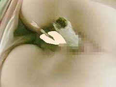 【本編フル視聴】toilets-0351 | オールうんこ第2弾 汲み取りトイレ下から○撮